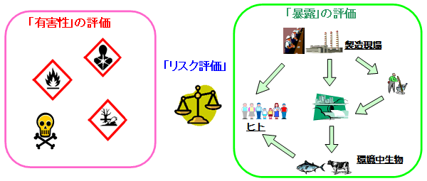 「リスク評価」