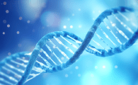 コア技術としての網羅的遺伝子発現解析