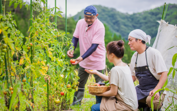化学物質安全部門