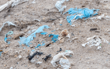 環境への負荷が小さい生分解性プラスチックの開発