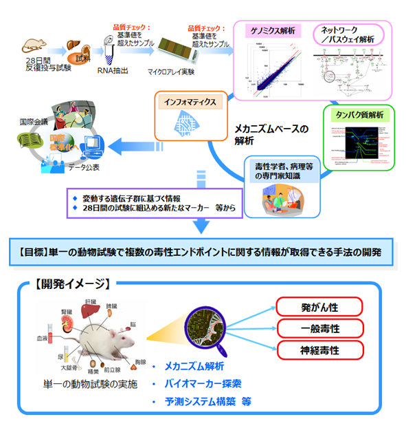 Tox Omicsにおける取組：一般財団法人 化学物質評価研究機構CERI