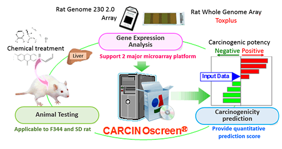 Fig.1 Overview of CARCINOscreen