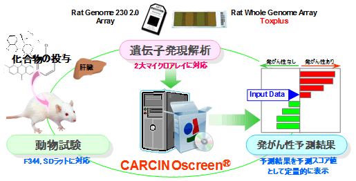 }1@̒Z񐫗\VXeGCARCINOscreen̊Tv