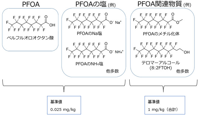 BPOPsKł̋KΏہuPFOAƂ̉yPFOA֘Av