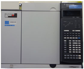 GC-FID