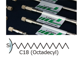 L-column Image