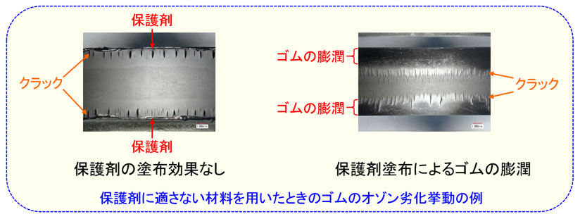 保護剤に適さない材料を用いたときのゴムのオゾン劣化挙動の例