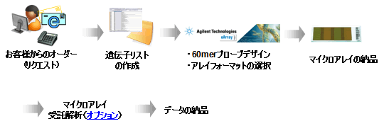 作製の流れ