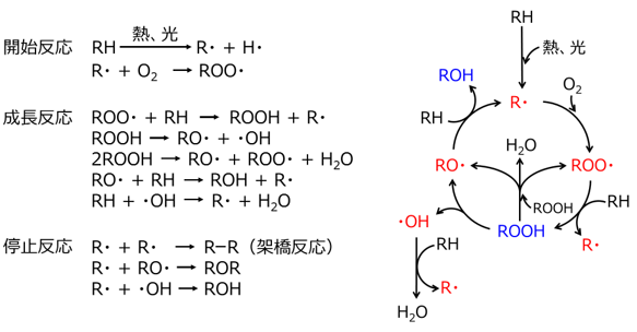 図1 自動酸化反応機構